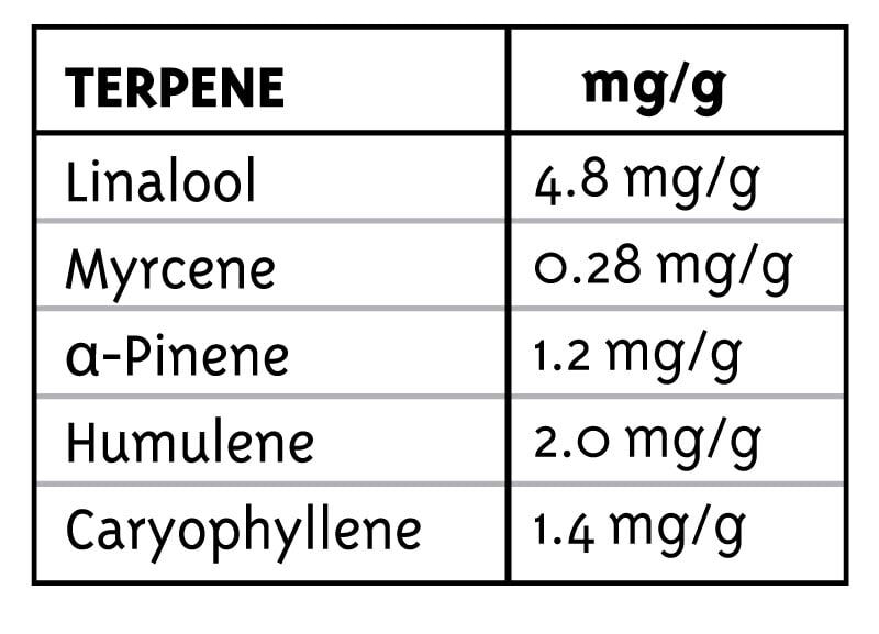 Bigfoot Glue, Фасовка: 3, изображение 7